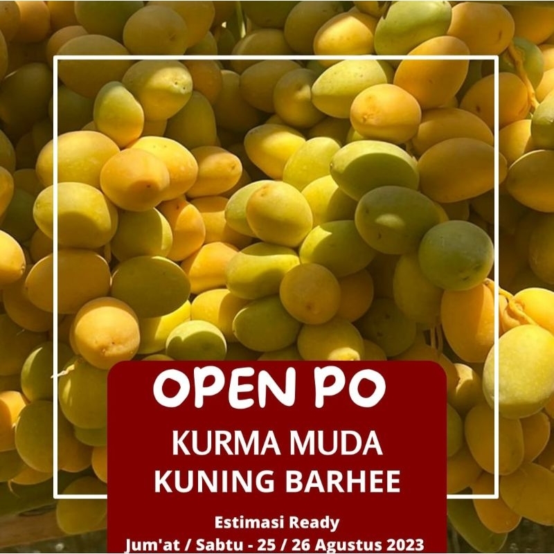 

kurma muda 250 gr