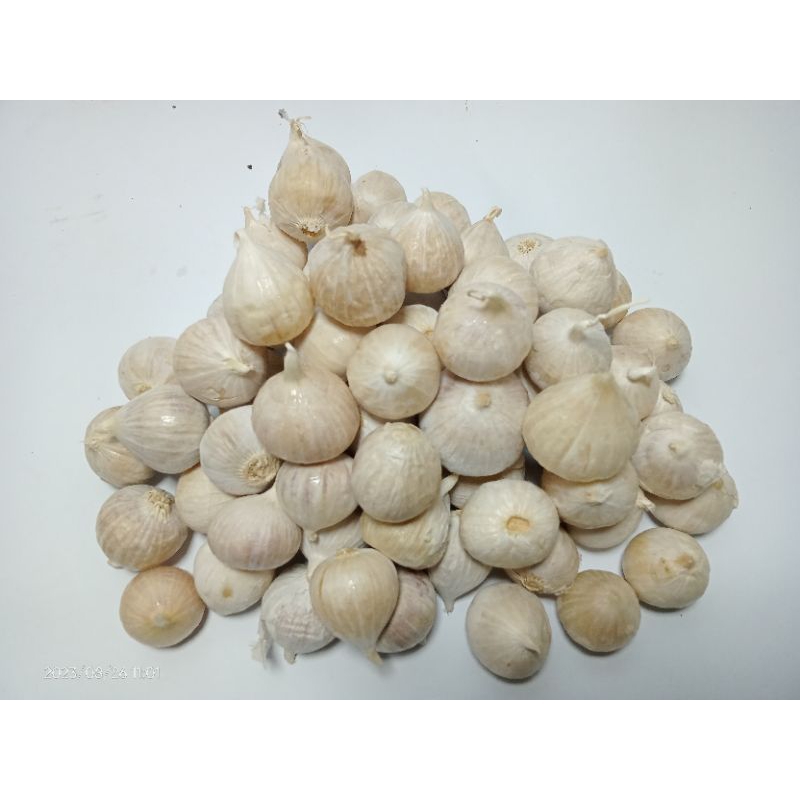 

Bawang Putih Tunggal Bawang Tunggal Bawang Obat Bawang Lokal 250 gram