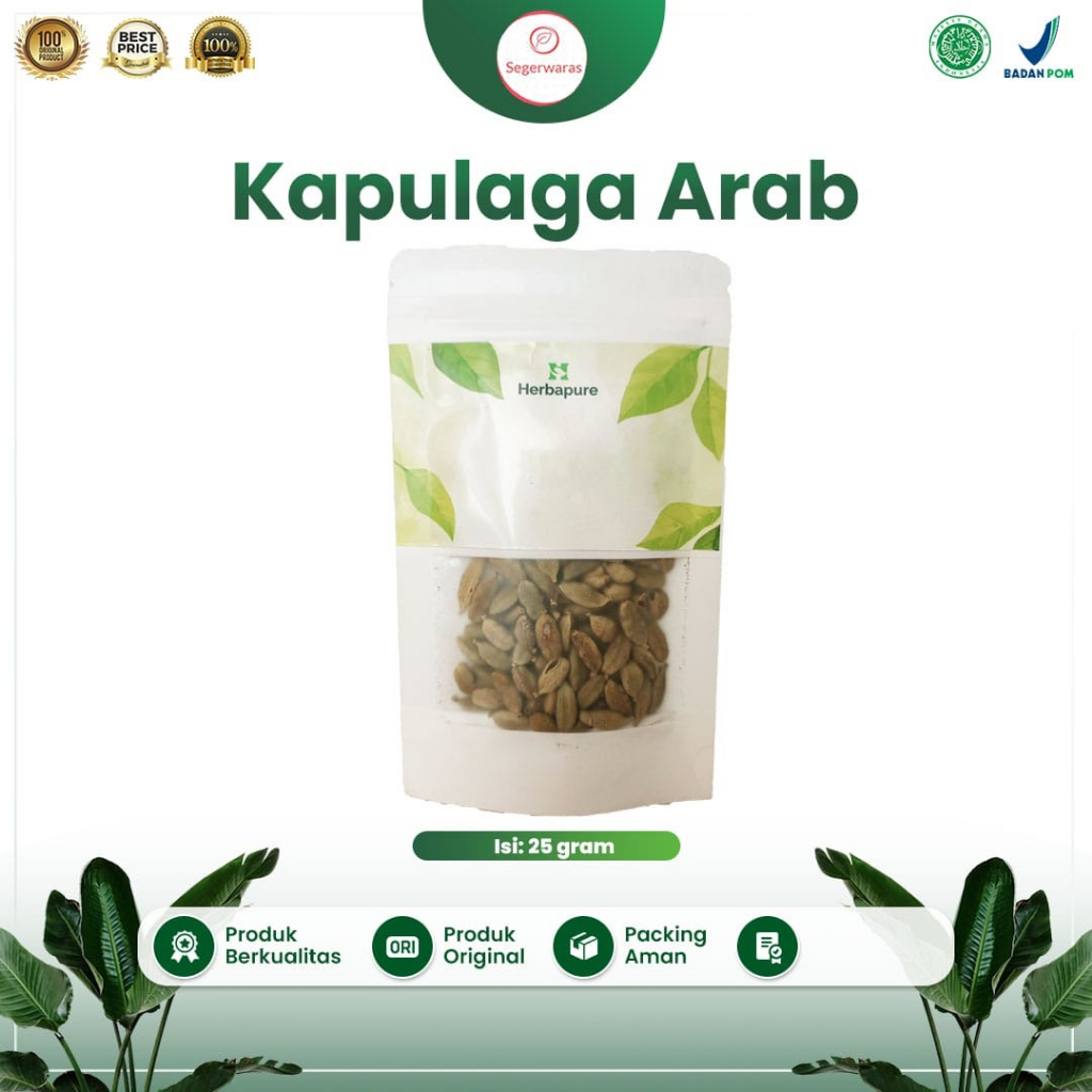 

☘️Segerwaras☘️ Kapulaga arab kapulaga hijau Wangi Asli
