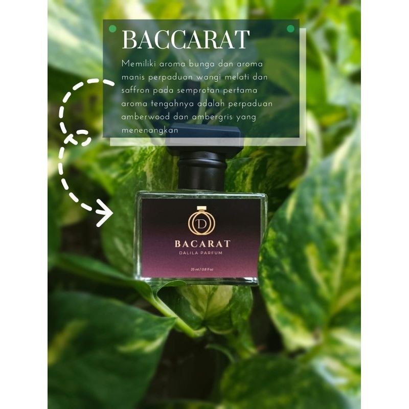 PARFUM BACCARAT PARFUM PRIA DAN WANITA