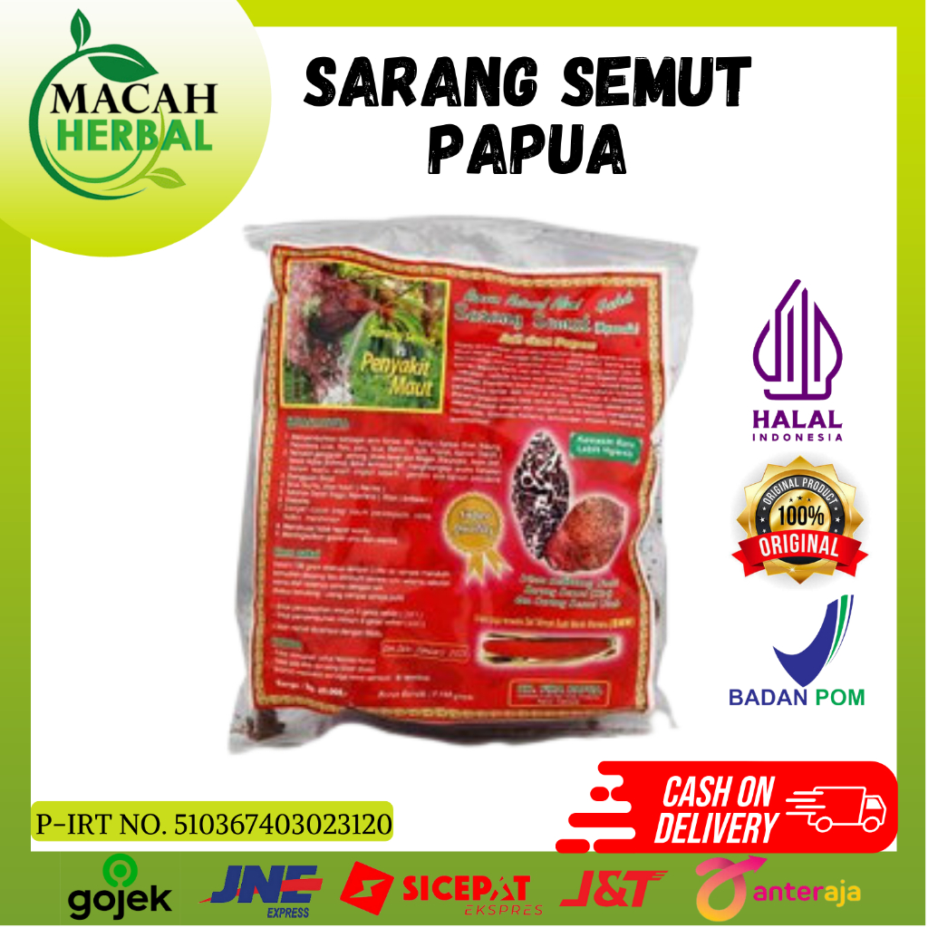 SARANG SEMUT PAPUA REBUS FIRA/SARANG SEMUT ASLI PAPUA
