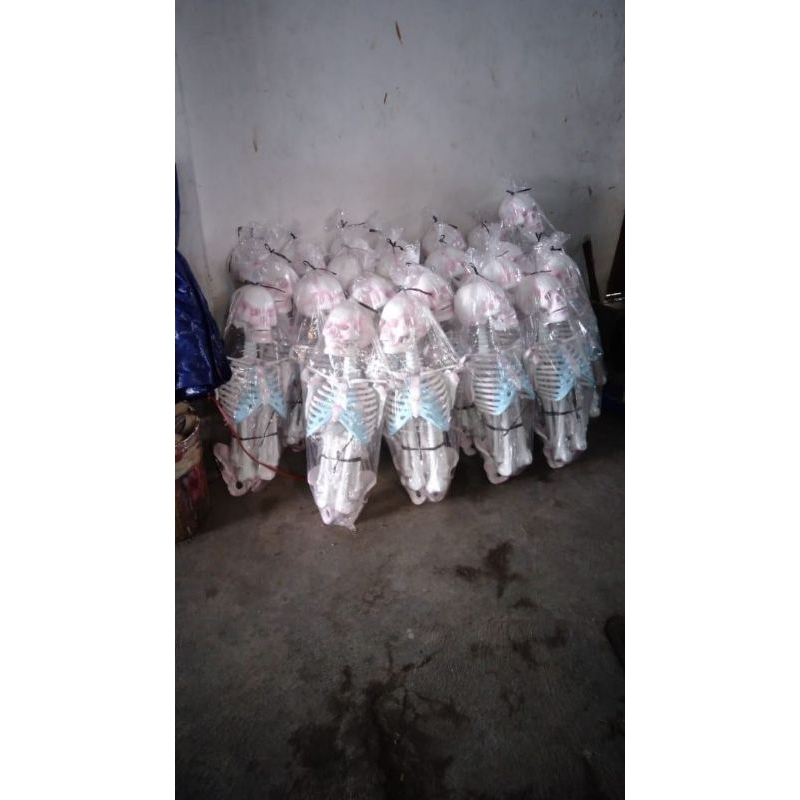 

Model Kerangka Manusia Mini tinggi 100cm