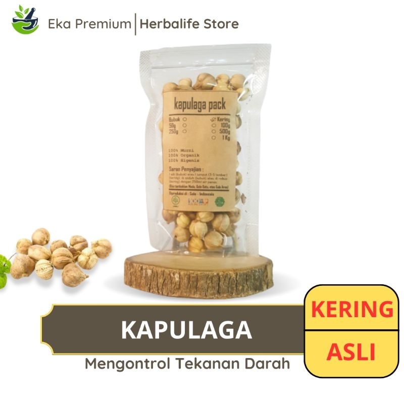 

KAPULAGA KERING Kapulogo Ramuan Rempah Herbal Murni Jamu Minuman Alami Tradisional Simplisia Amomum Compactum