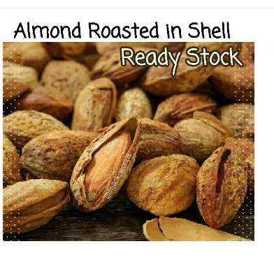 

Ready 1kg Almond Creamy Roasted in shell (kulit) / manis gurih / california usa