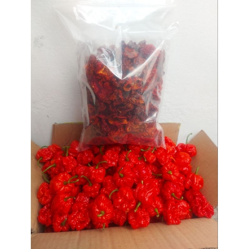 250 Buah Cabe Carolina Reaper Segar + 200 Gram Cabe Carolina Reaper Kering Pesanan Ibu Sri