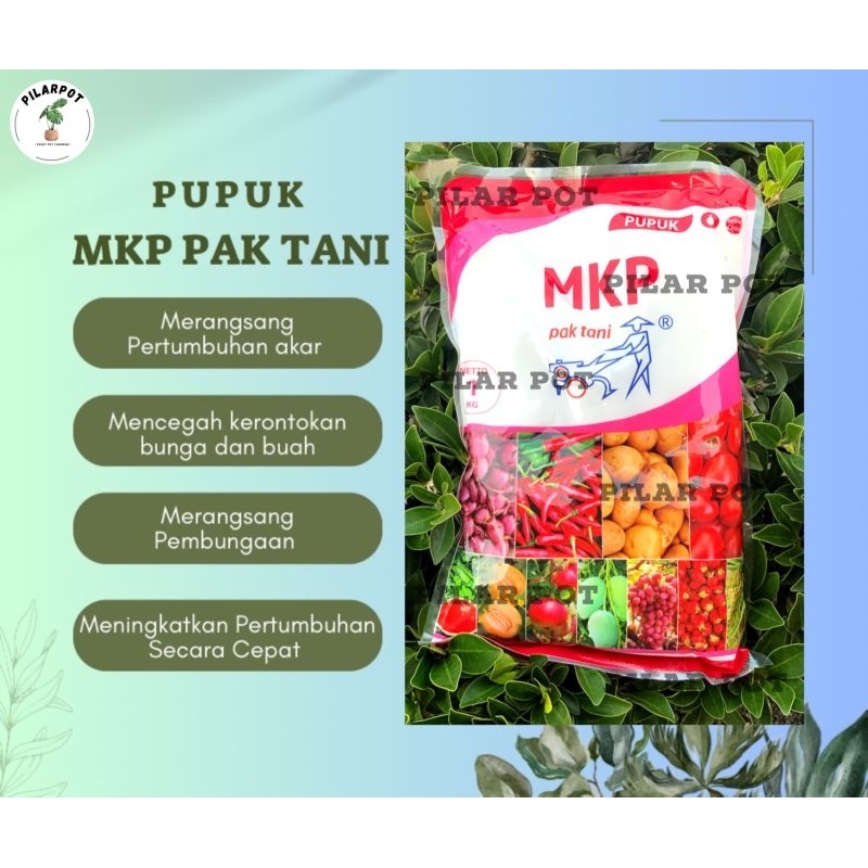 Termurah Pupuk Mpk Pak Tani Mono Kalium Phosphat Mempercepat Pembuahan Dan Pembungaan Kemasan Pabrik