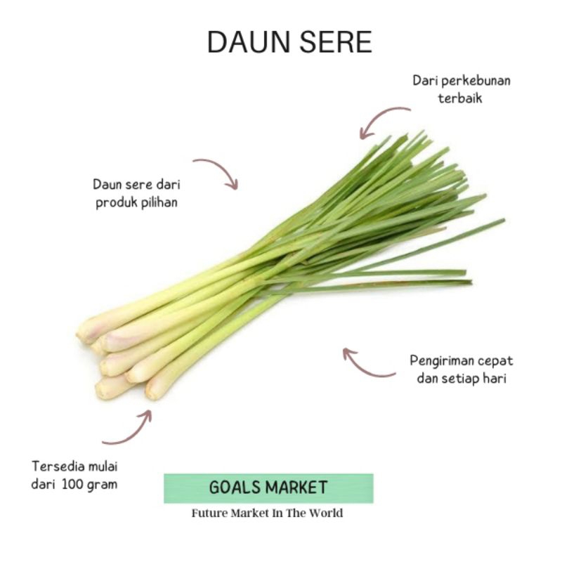 

Daun Sereh Daun Serei Daun Sere 100 gram-1kg