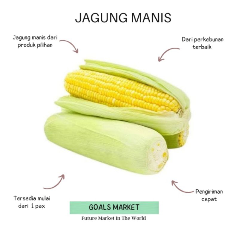 

Jagung Manis Segar