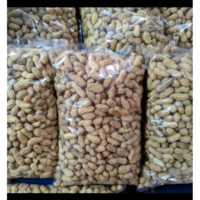 

KACANG KULIT TAWAR
