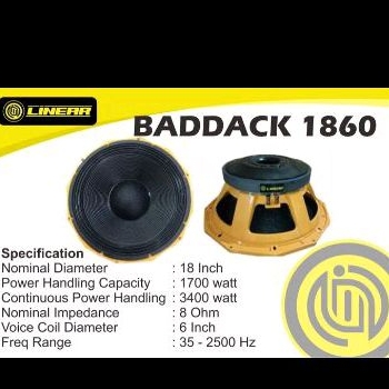 speaker 18 inc linier baddack