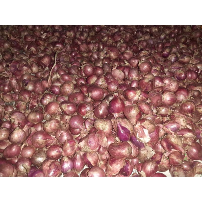 

Bawang Merah BREBES 1kg