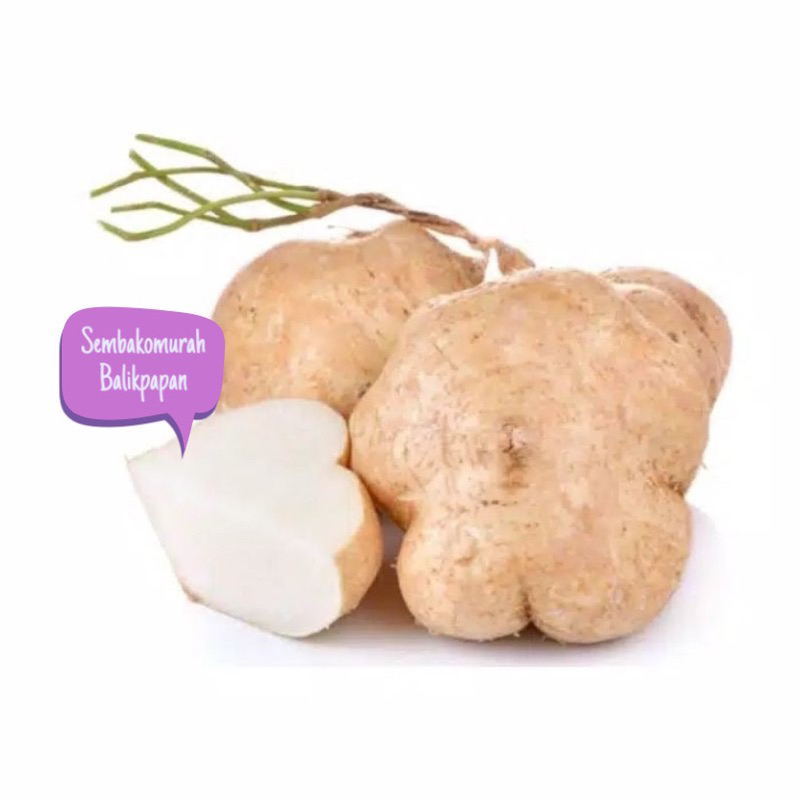 

bengkoang 1 kg