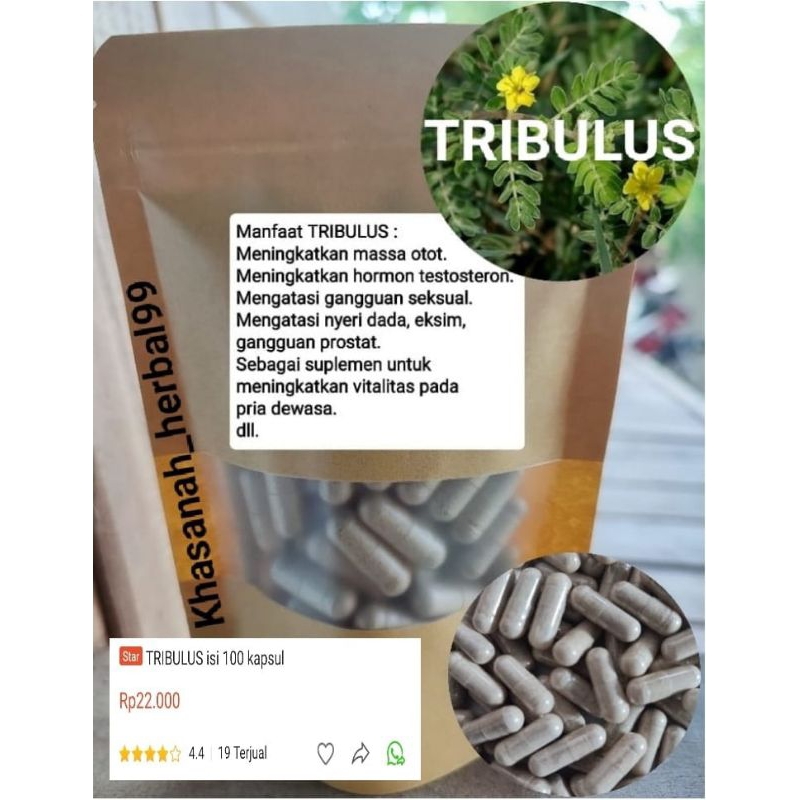 Tribulus isi 100 kapsul untuk massa otot