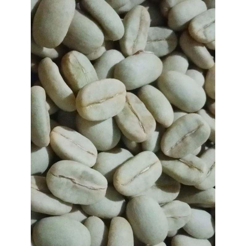 BIBIT KOPI ATENG SUPER UNGGUL.isi  300 gram