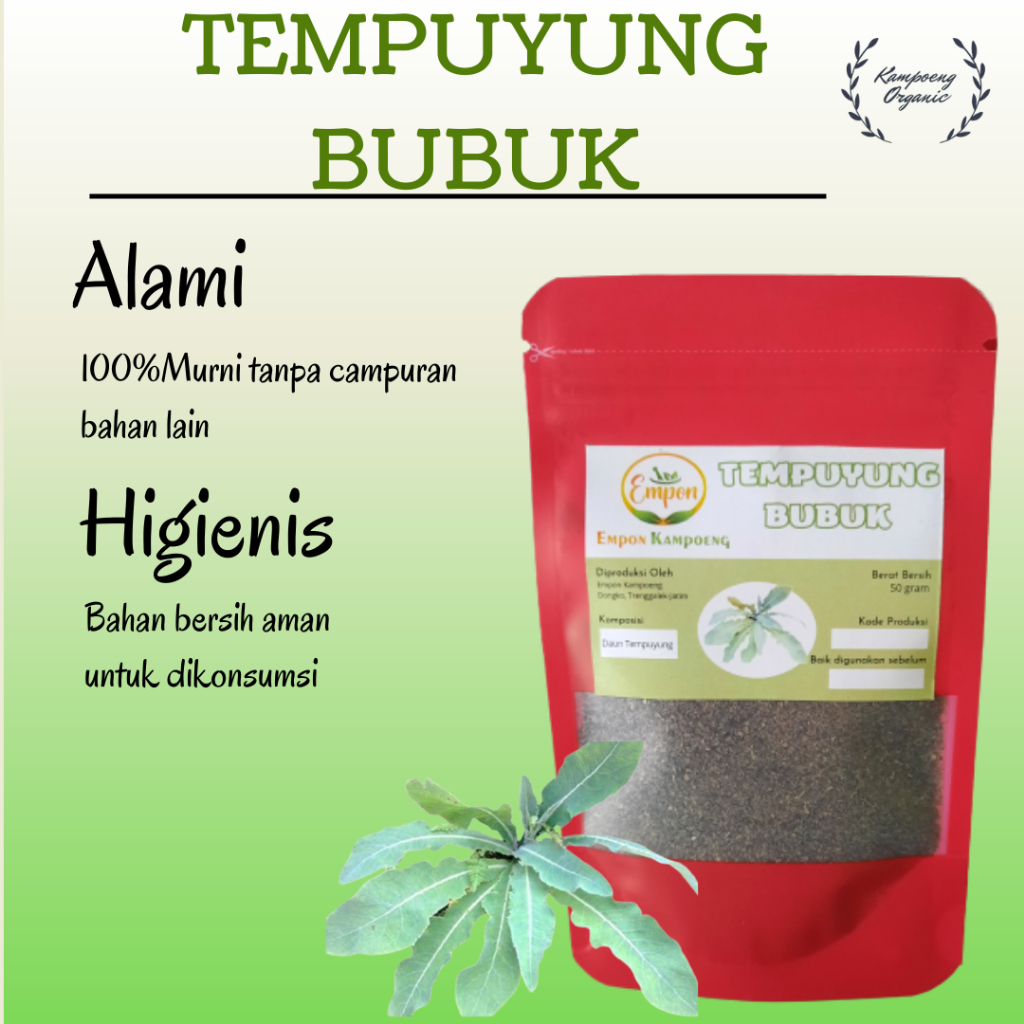 

Daun Tempuyung Bubuk Minuman Jamu Herbal Tradisional Serbuk Asli Alami Murni