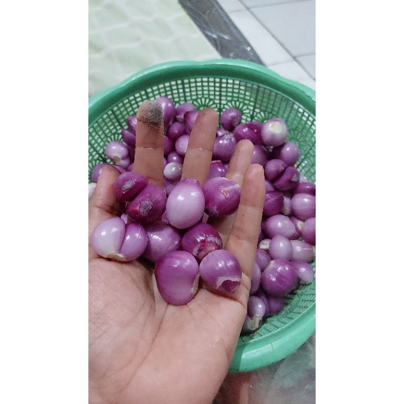 

bawang merah kupas 1 kg