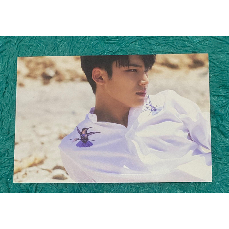 [READY INA] OFFICIAL SEVENTEEN POSTCARD MINGYU AL1