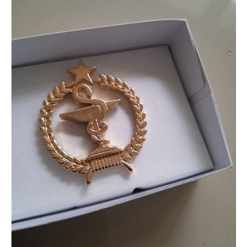 brivet pin wing logo baju brevet parmasi apoteker
