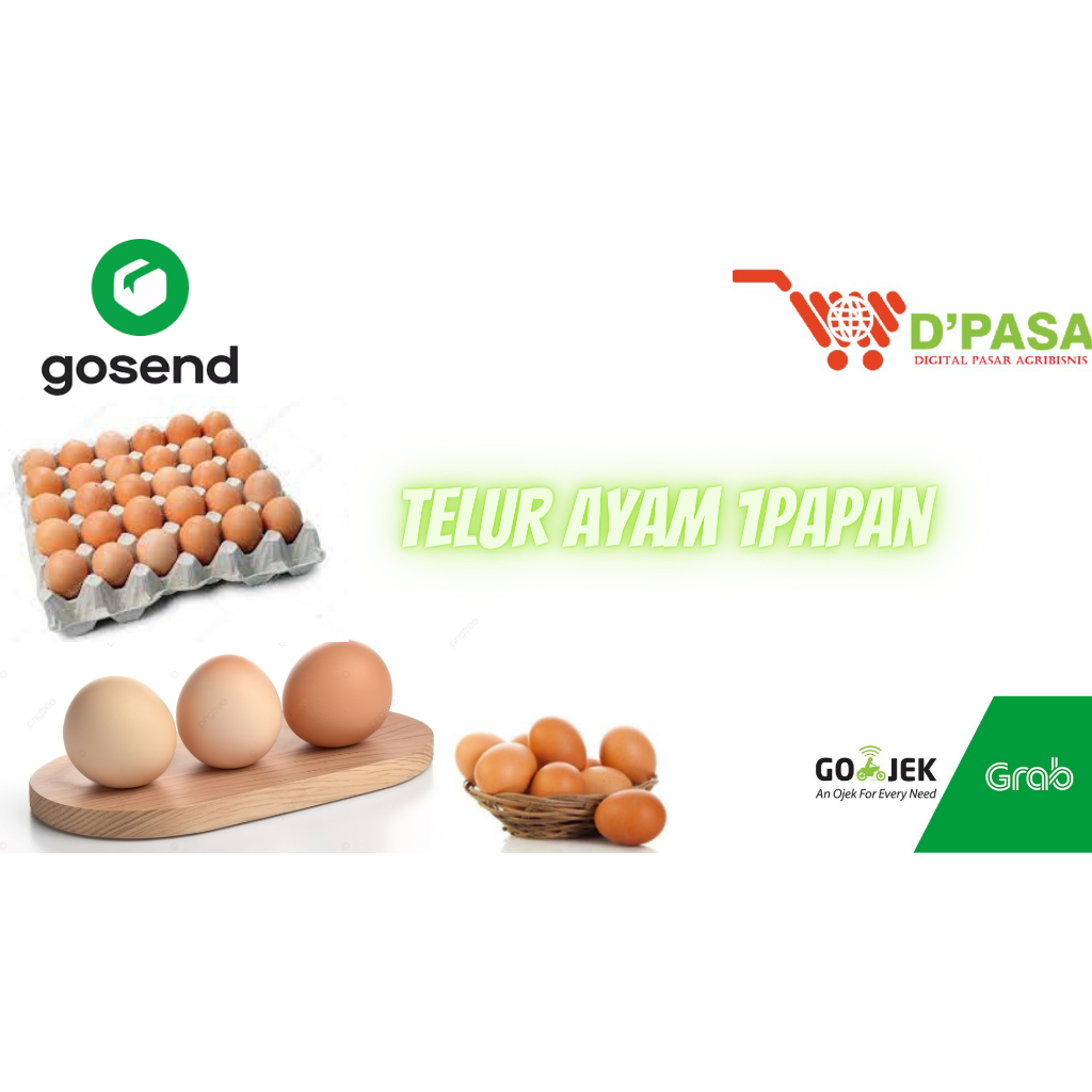 

KIRIM INSTAN Telur Ayam Menengah Negri Protein Fresh Ikan Segar DPASA Padang 30BUTIR/1PAPAN