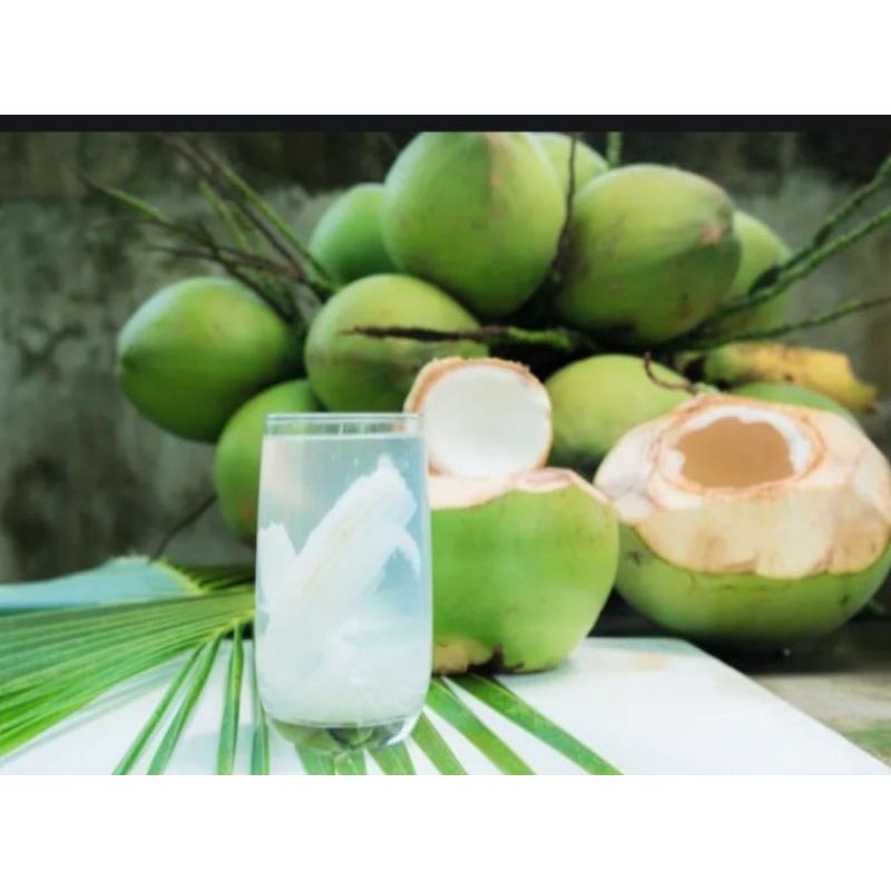 

COCONUTS/KELAPA MUDA KUPAS DUEGAN ORIGINAL