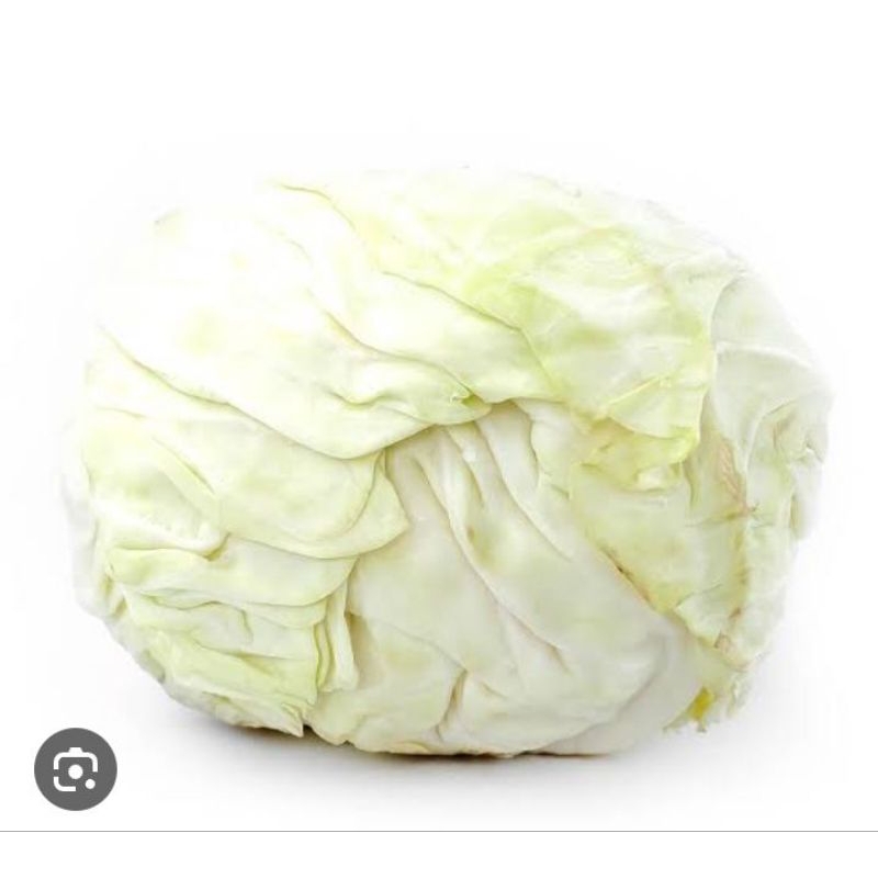 

sayur kol super rasa manis/untuk sayur dan lalapan
