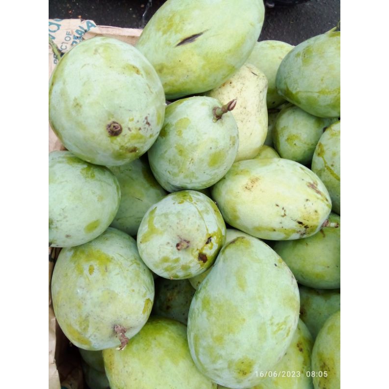 

mangga indramayu manis sagu legit 1kg
