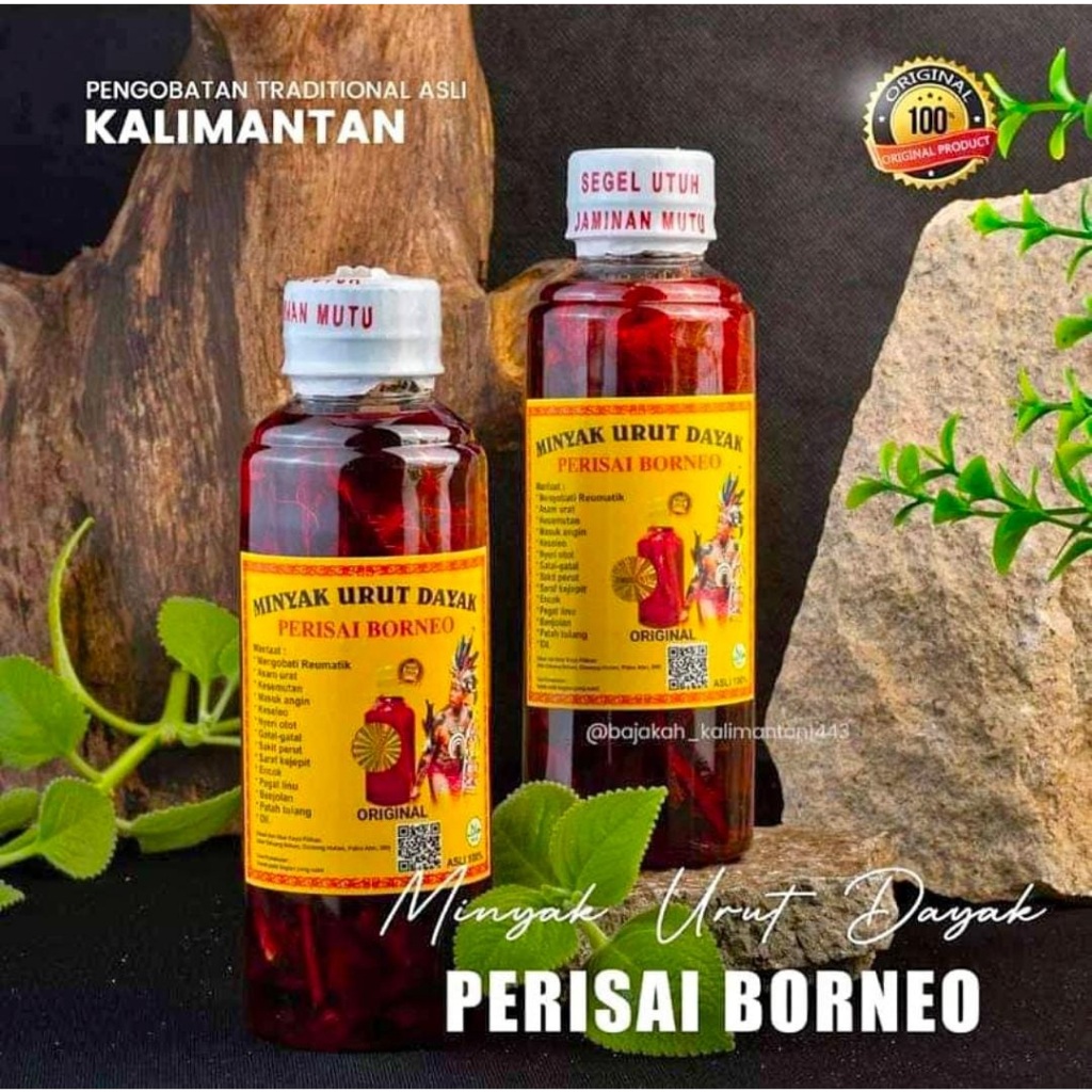 Minyak Dayak Asli Kalimantan- Perisai Borneo 100% Ori