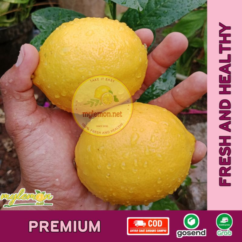 

Lemon California SUPER PREMIUM Fresh 1 Kg Ukuran Lebih Besar dan Mulus [MYLEMON.NET]