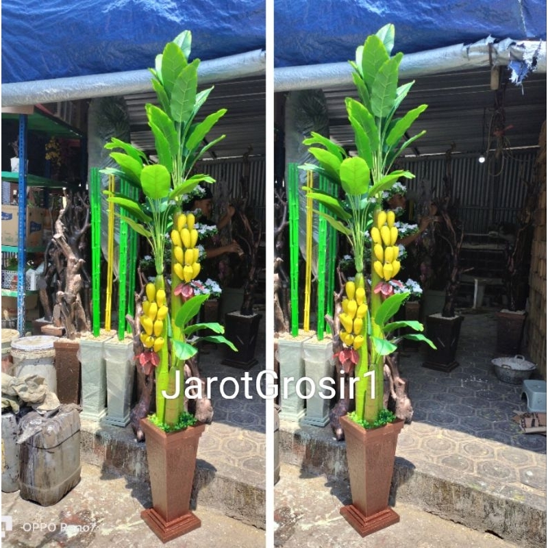 POHON HIAS PISANG TINGGI 2 METER