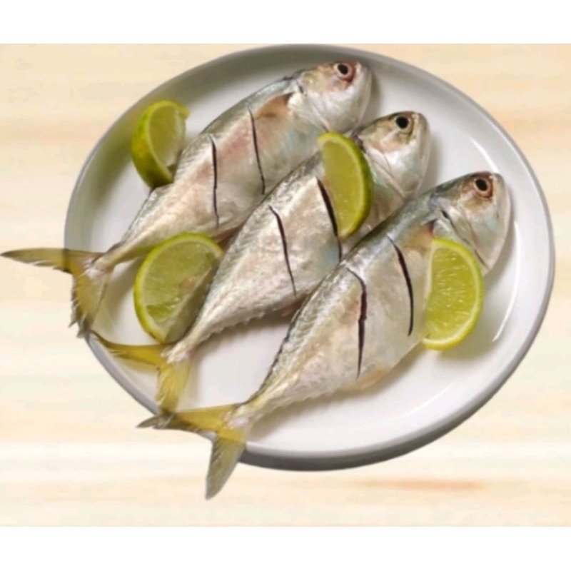 

Ikan kembung fresh