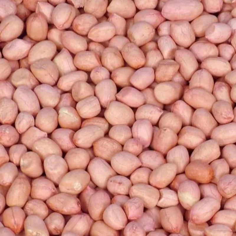 

Kacang Tanah Kupas Mentah Kualitas Super 1kg 1000g 1 Kilo 500g 250g Paling Murah Termurah Lebih Lezat Enak