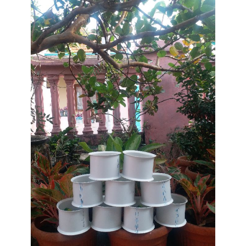 Bladu polos putih besar 4 inch