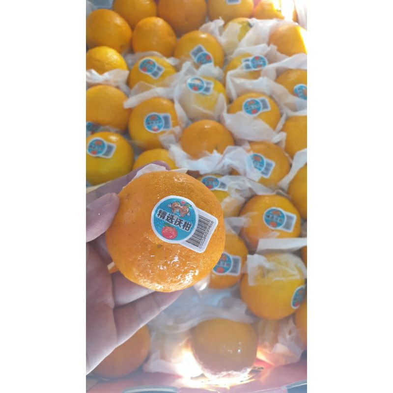 

Buah Jeruk Wokam / Wogan - Manis Segar - Buah Import