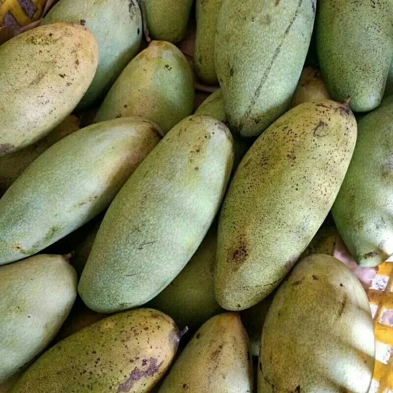 

1KG MANGGA GOLEK BANGIL