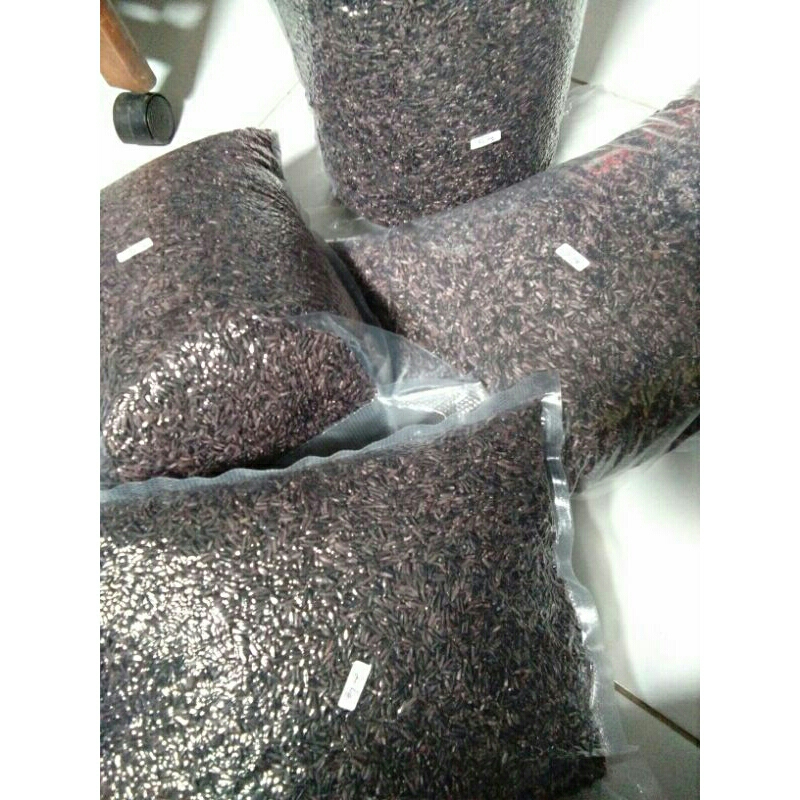 

Beras Hitam buat konsumsi 5kg