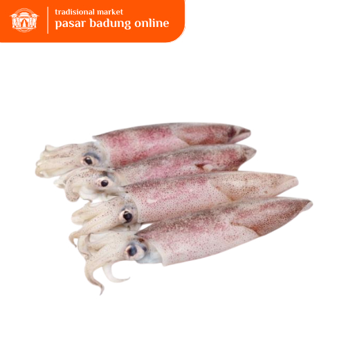 

Cumi Sotong segar 500gr