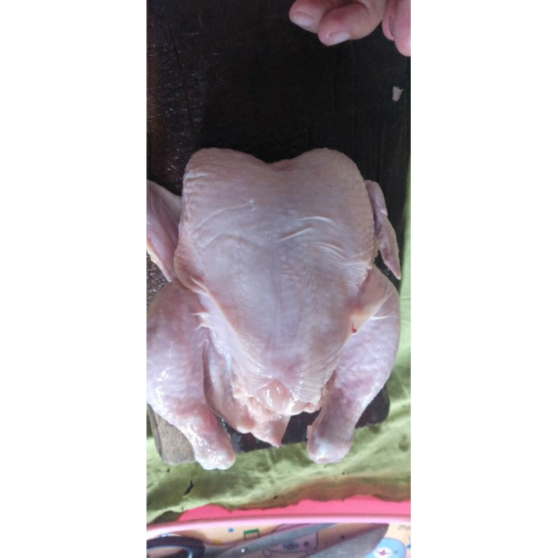 

ayam utuh berat 800 gram