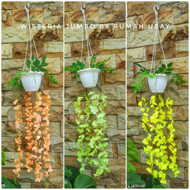 [COD]Bunga WISTERIA JUMBO + POT GANTUNG