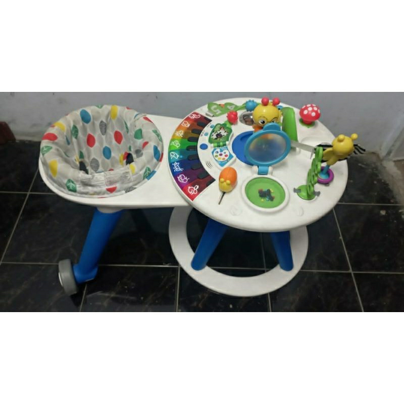 Preloved Baby Einstein Around We Grow