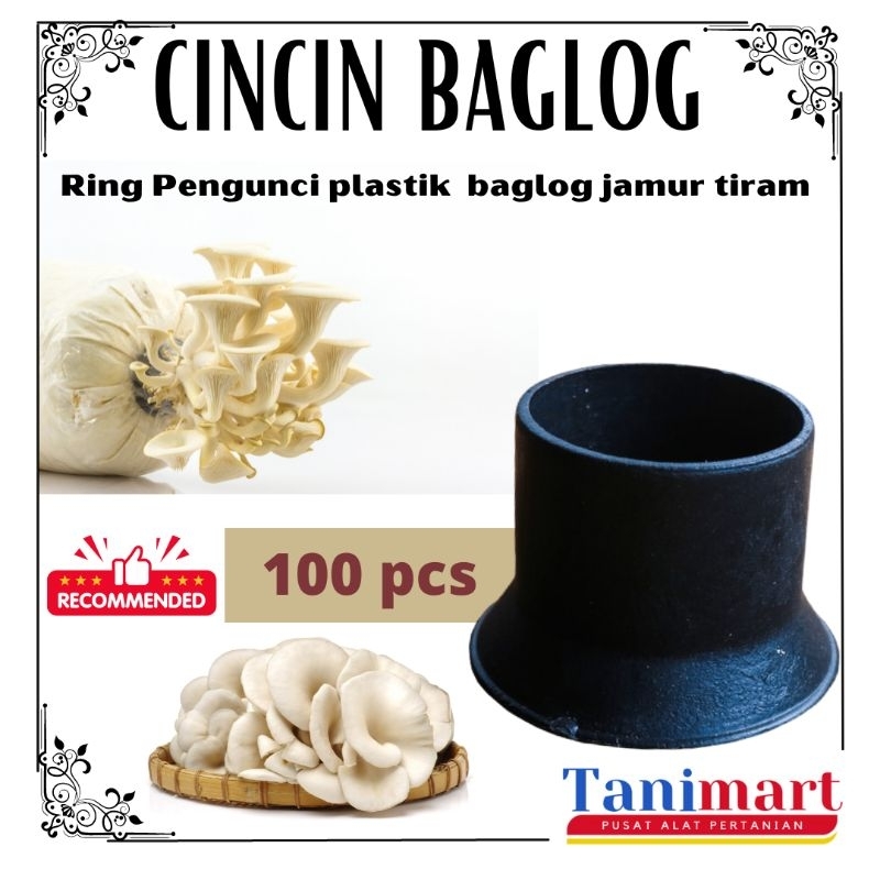 CINCIN BAGLOG JAMUR TIRAM / RING BAGLOG JAMUR TIRAM / CINCIN LOG JAMUR / RING LOG JAMUR / CINCIN PLA