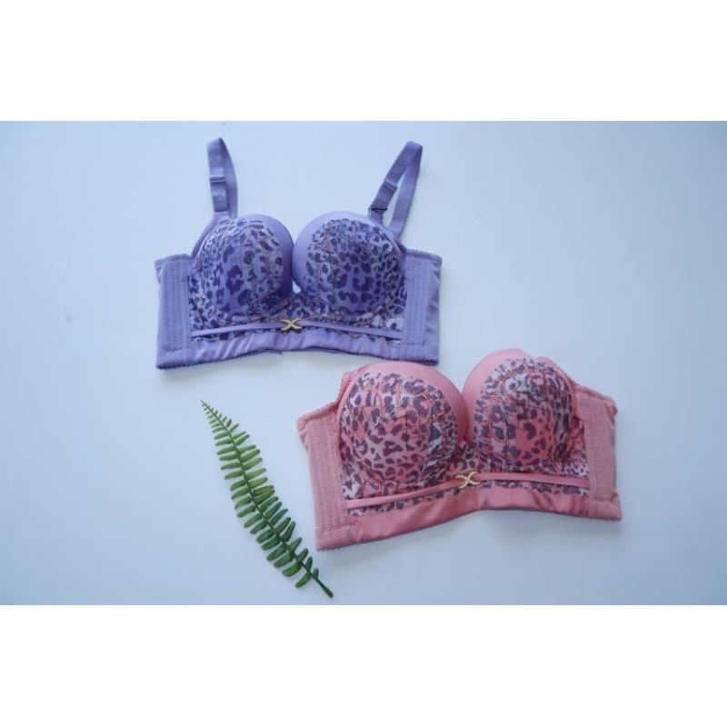 BH Bra Wanita Busa Push Up Kawat Kait 3 Motif Macan // Berly Baby & Kids