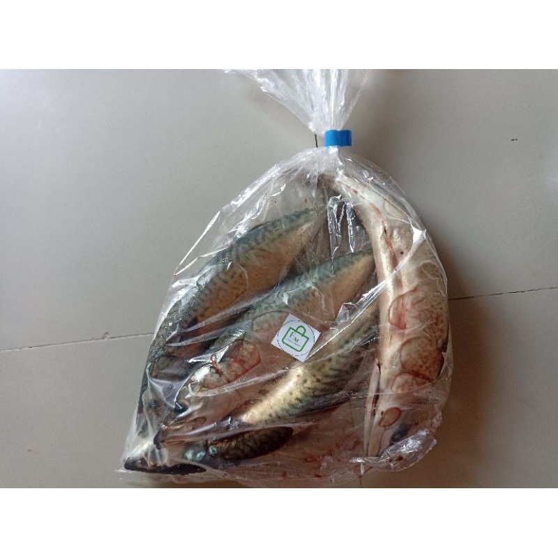 

ikan tongkol segar 500gr
