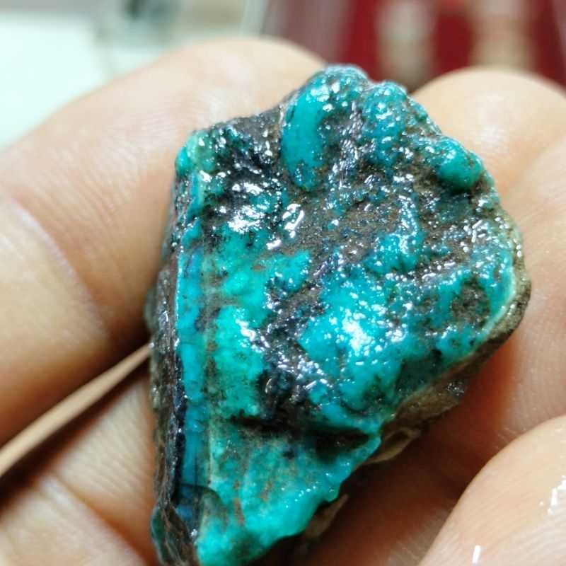 bahan bacan Doko