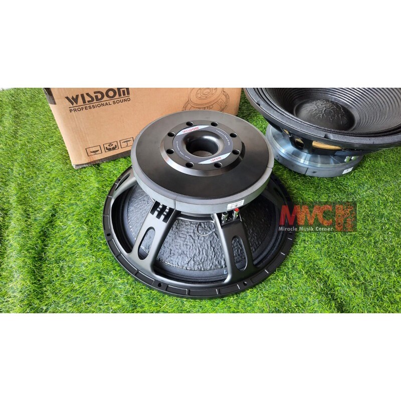 SPEAKER WISDOM 18 INCH P550