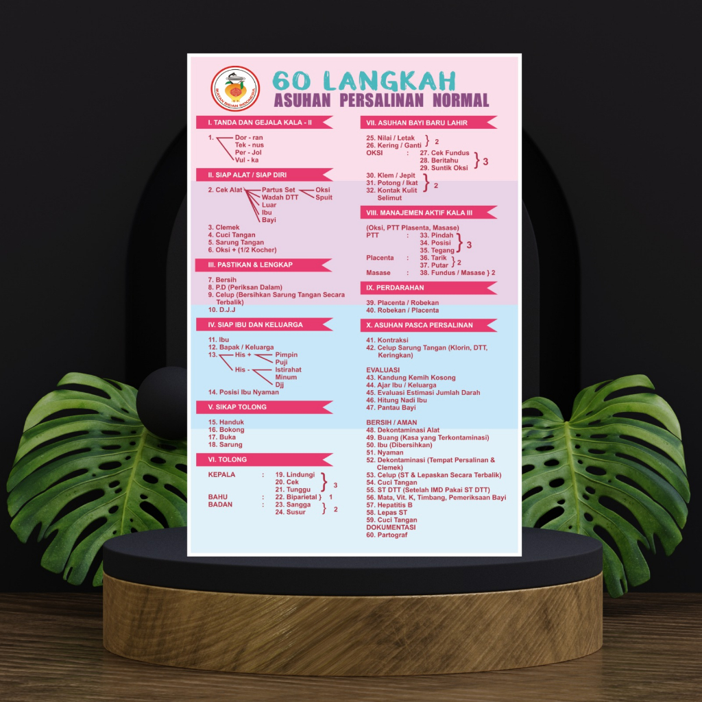 Poster Kebidanan 60 Langkah Asuhan Persalinan Normal
