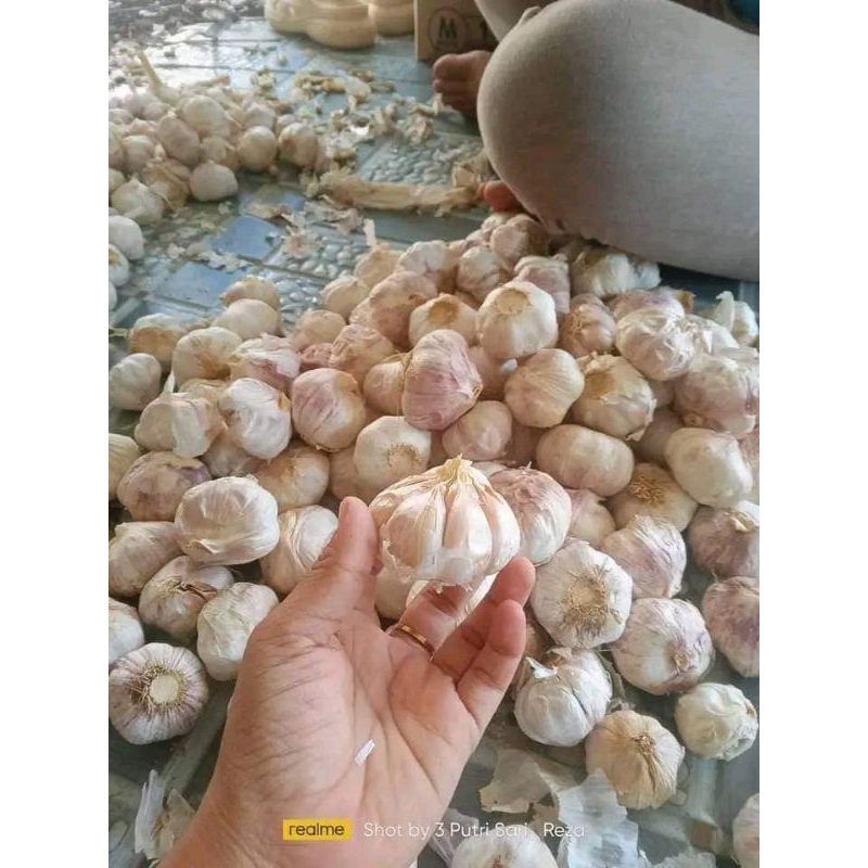

Bawang putih