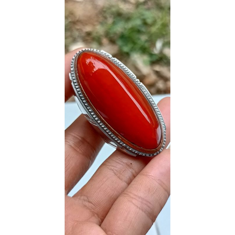 PANDAN MERAH MENOR SUPER