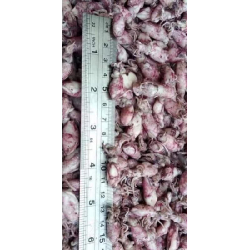 

cumi asin baby per 1kg