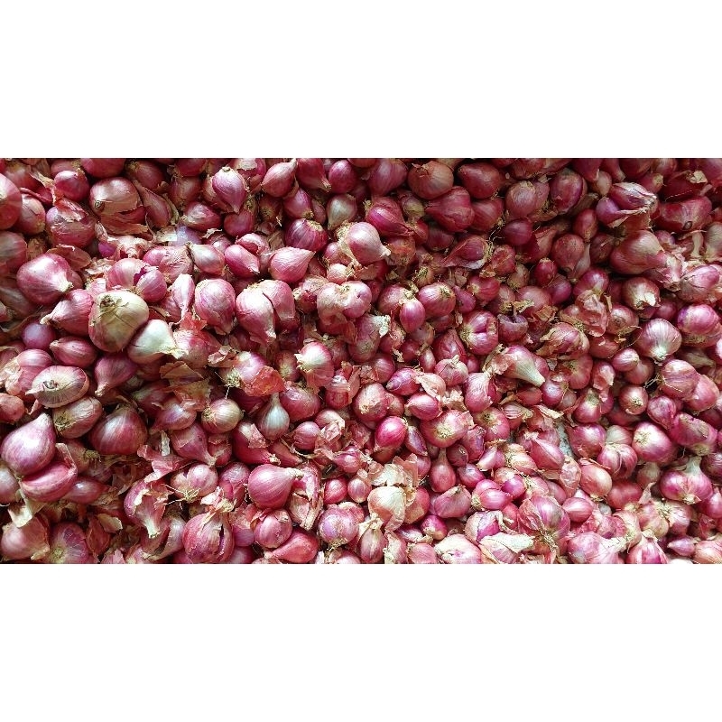 

BAWANG MERAH 1 KG