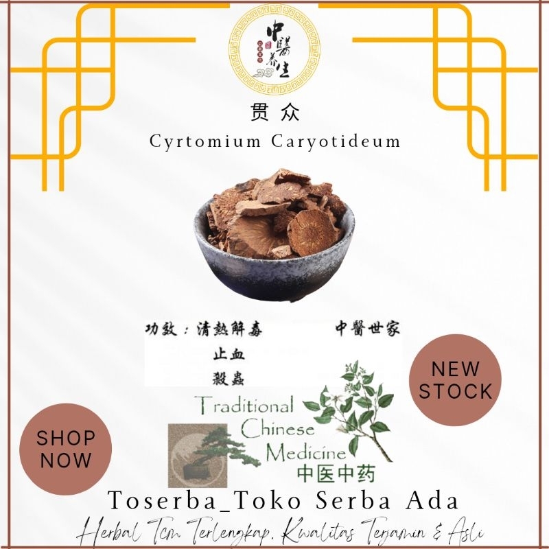 

100gr Herbal Guan Zhong 贯众 Cyrtomium Fortunei Cyrtomium Caryotideum